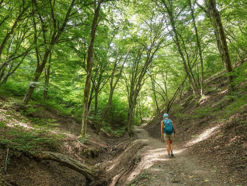 Danube Bend Hiking and Kayaking Adventure - Why this day outside Budapest works so well