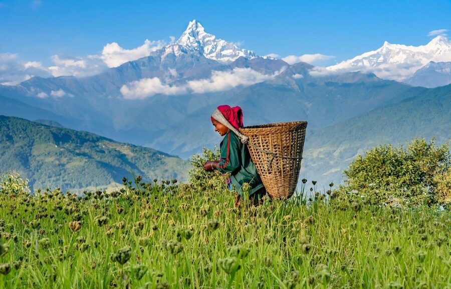 Day Hike at Annapurna Foothills - Key points at a glance