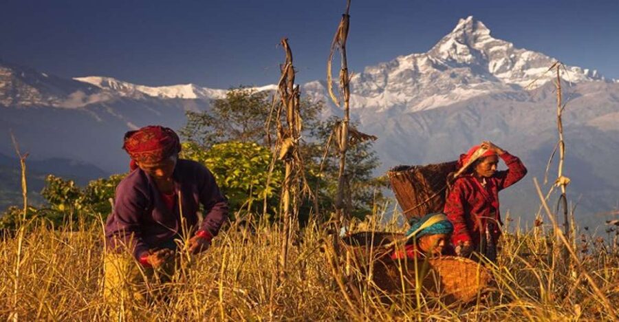 Day Hike at Annapurna Foothills - What the $98 price really covers