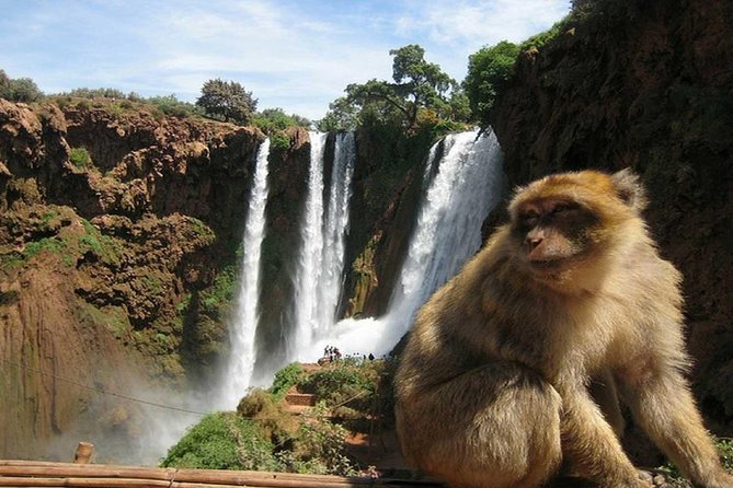 Day Trip To Ouzoud Waterfalls (Guide Hike & Boat are options) - The return journey and the full 10-hour day