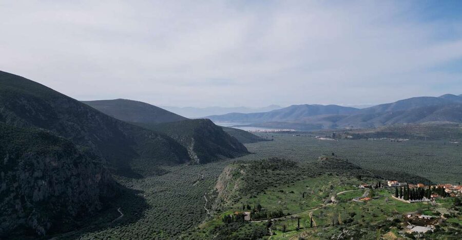 Delphi: Easy Hike on Ancient Path through the Olive Groves - Key points at a glance