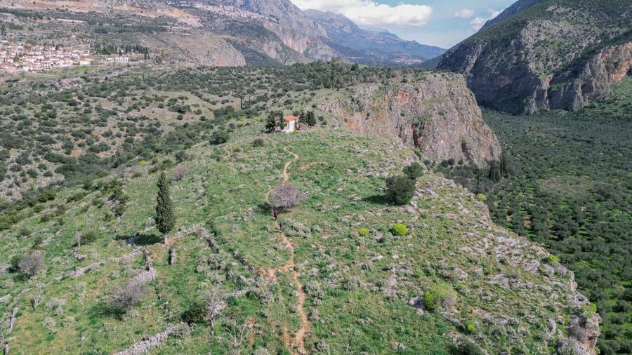 Delphi: Easy Hike on Ancient Path through the Olive Groves - Why this Delphi walk feels different