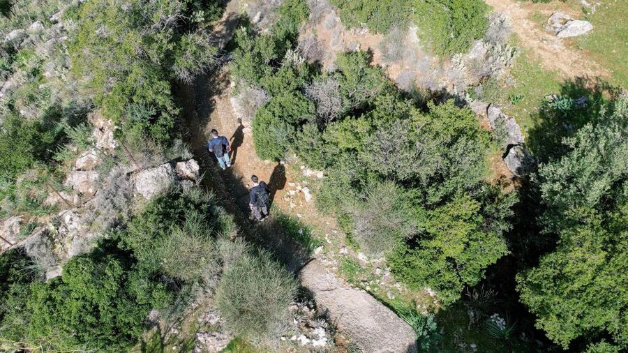 Delphi: Easy Hike on Ancient Path through the Olive Groves - Reaching Chriso and moving toward Aggali