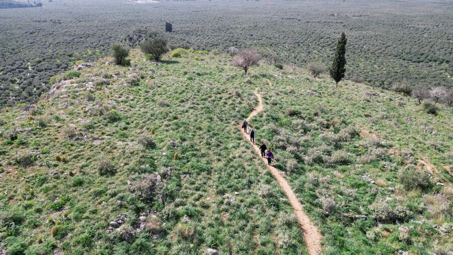 Delphi: Easy Hike on Ancient Path through the Olive Groves - Practical tips for a better outing
