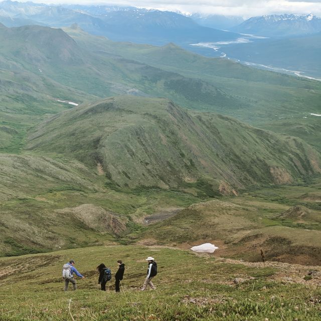 Denali: 5-Hour Guided Wilderness Hiking Tour - Starting the day with a small Denali pickup