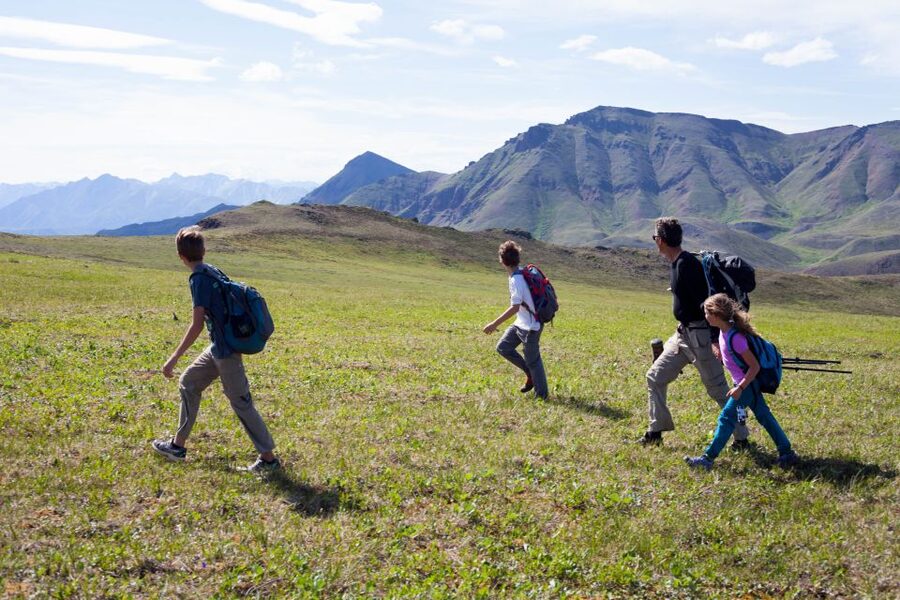Denali: 5-Hour Guided Wilderness Hiking Tour - Ridge routes and wide Alaska Range views