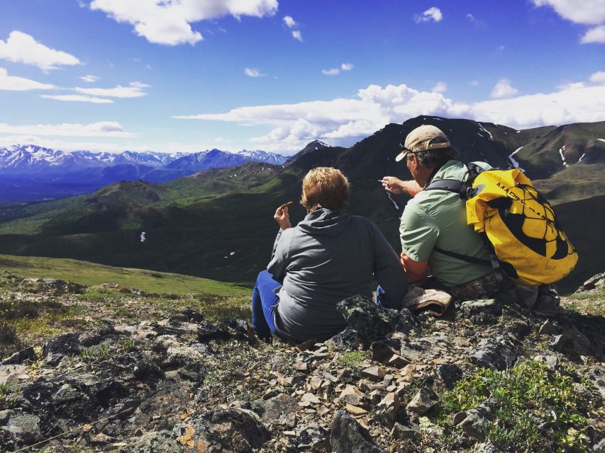 Denali: 5-Hour Guided Wilderness Hiking Tour - Practical preparation for the five-hour outing