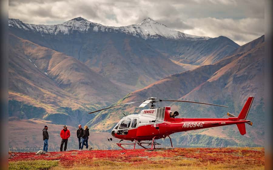 Denali National Park: Helicopter and Hike Adventure - Key points at a glance