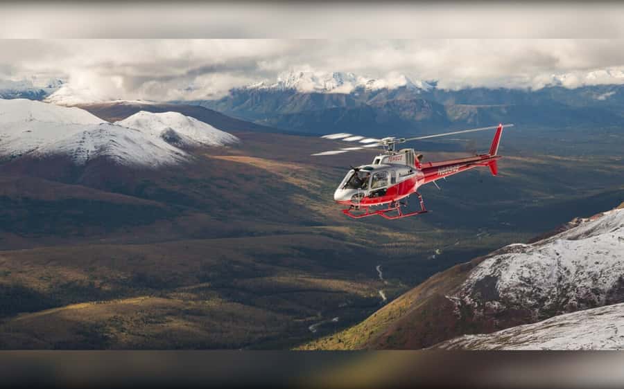 Denali National Park: Helicopter and Hike Adventure - Reaching remote country near Denali