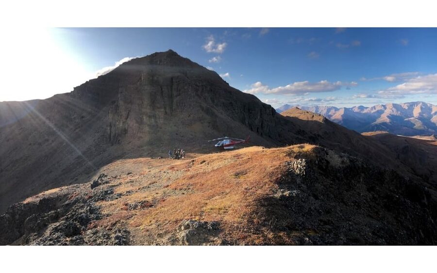 Denali National Park: Helicopter and Hike Adventure - Should you book the Denali helicopter and hike?