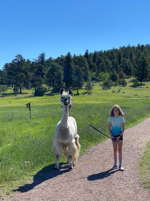 Denver: Llama Hike in the Rocky Mountains - How the price compares with the experience