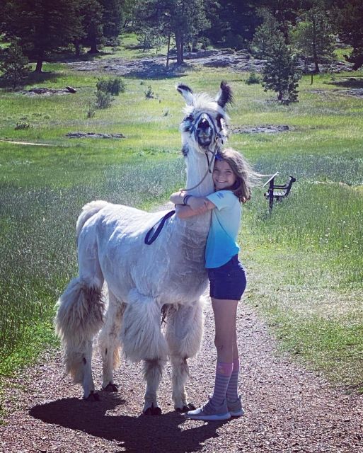 Denver: Llama Hike in the Rocky Mountains - Who will enjoy this most
