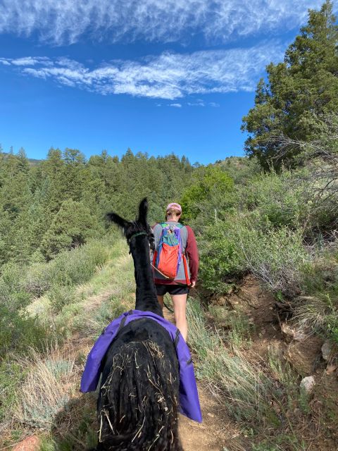 Denver: Llama Hike in the Rocky Mountains - Practical preparation for an 8:00 AM mountain start