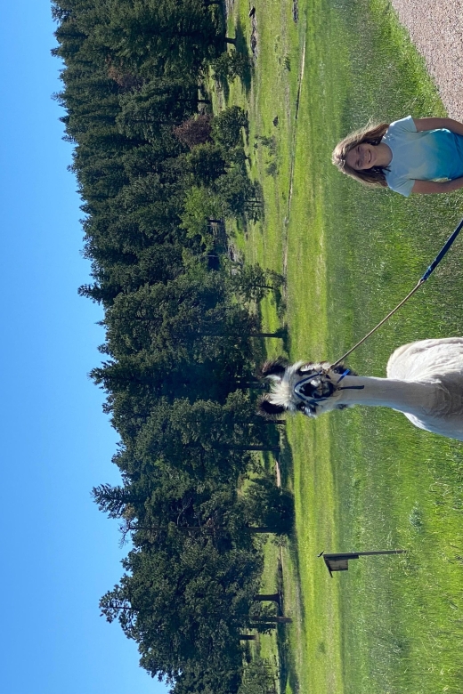 Denver: Llama Hike in the Rocky Mountains - Meeting Elvis and Tribby at Flying J Ranch Park