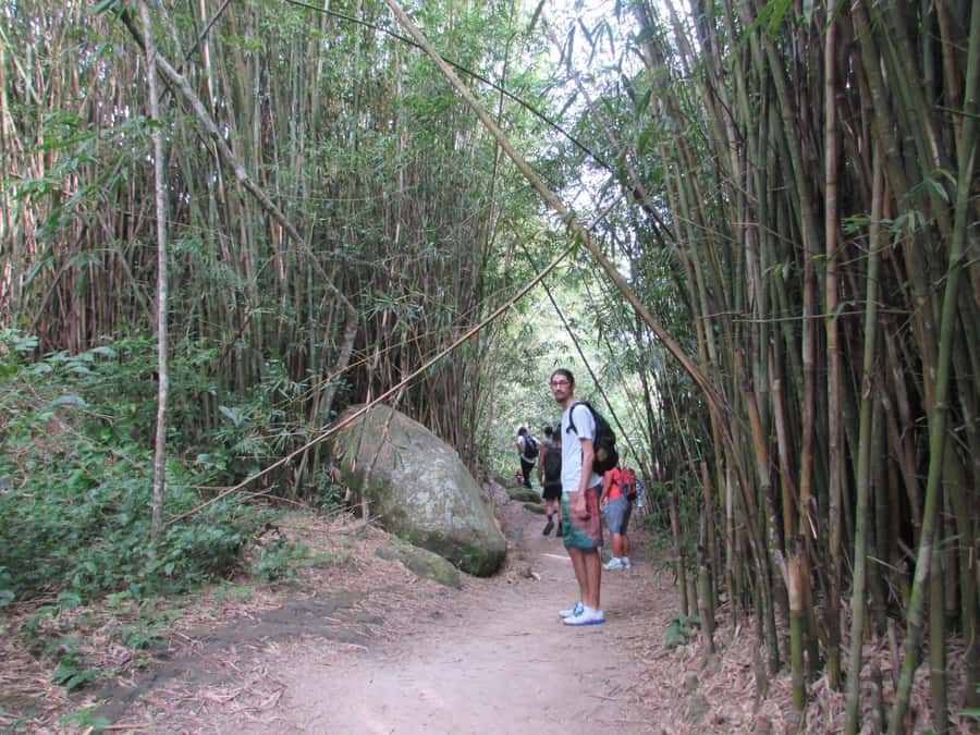 Discover Pedra do Telégrafo: Scenic Hike with Expert Guide - Key details before you book