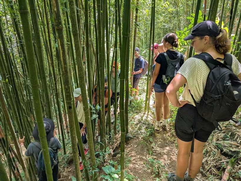 Discover Sapa: 2D1N Trekking Adventure & Cozy LaLa Homestay - Day two: terraces, river, and Giang Ta Chai