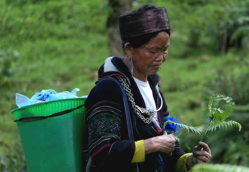 Discover Sapa: 2D1N Trekking Adventure & Cozy LaLa Homestay - How hard is the walking?