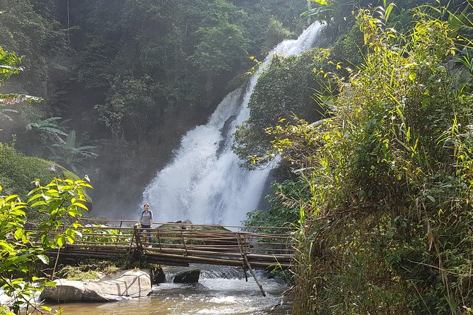 Doi inthanon National Park + 2Hour Fantastic Trekking with Lunch - Is $50.80 a fair price?