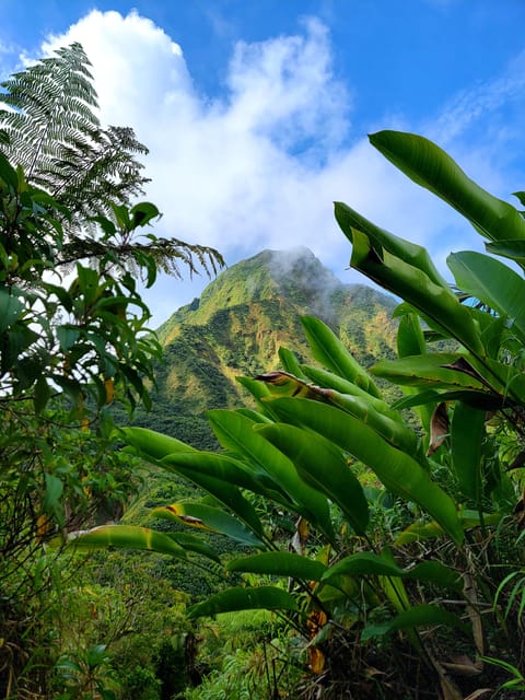 Dominica: Hiking tour to the boiling lake! - Part Two: The Muddy Descent Into the Valley of Desolation