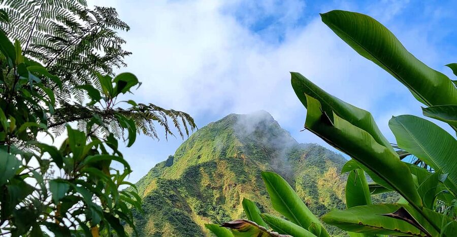Dominica: Hiking tour to the boiling lake! - Titou Gorge: A Five-Minute Swim After a Long Hike