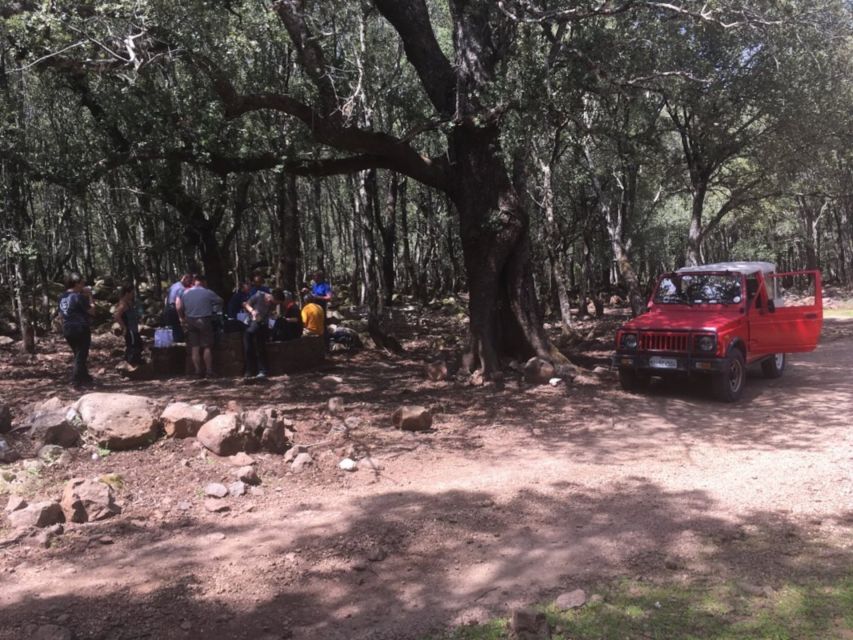 Dorgali: Supramonte Full-day Jeep Off-Roading & Hiking Tour - Who should book this Supramonte outing?