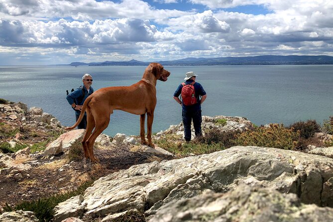 Dublin Coastal Hike with Howth Adventures - Starting beside Howth Harbour at 11 a.m.