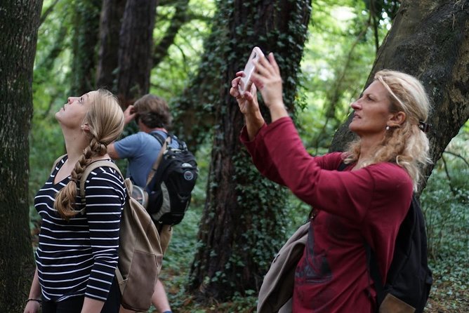 Dublin Coastal Hike with Howth Adventures - St Mary’s Abbey and Howth’s older story