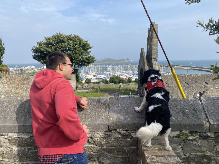 Dublin: Dublin Coastal Hike and Pints & Puppies - Watching for seals along the shore