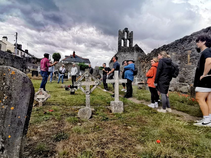Dublin: Dublin Coastal Hike and Pints & Puppies - Is $53 a fair price?