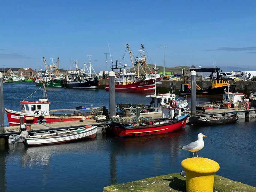 Dublin: Howth Coastal Hiking Tour - Who should book this Howth hike?