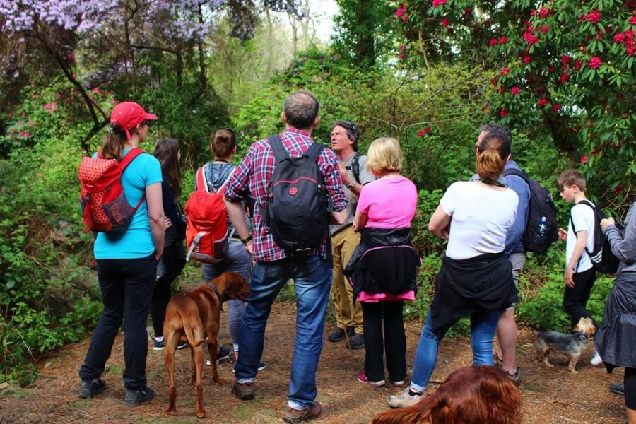 Dublin: Howth Coastal Hiking Tour - Baily Lighthouse and the cliff path