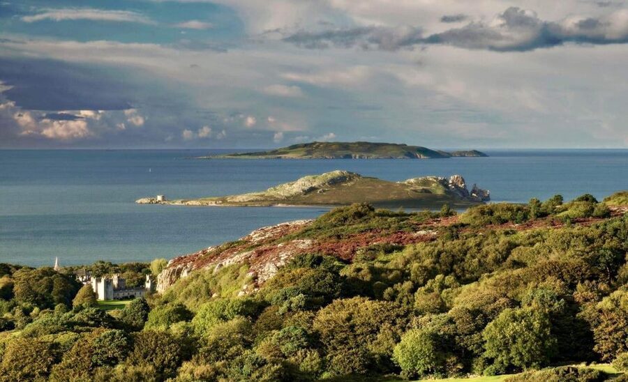 Dublin: Howth Coastal Hiking Tour - Weather, pace, and what to pack