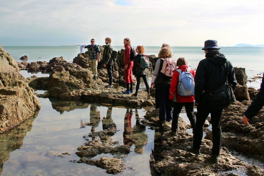 Dublin: Howth Safari Hiking Tour - What the $67 price includes