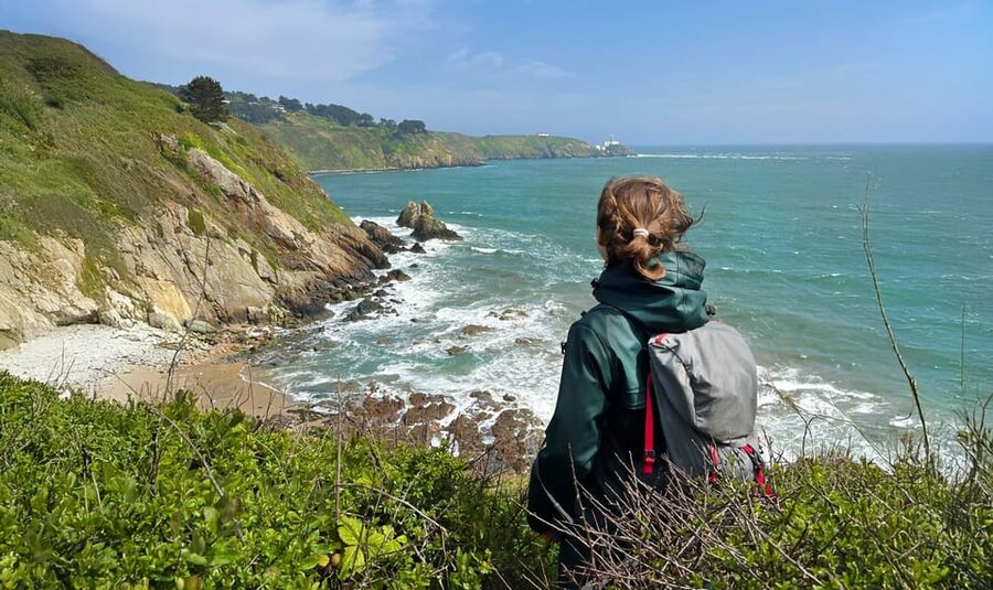 Dublin: Howth Safari Hiking Tour - Starting with scones at The House Restaurant
