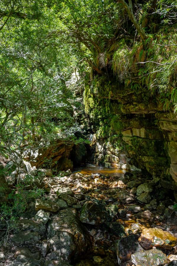E-Bike & Hike Jonkershoek - Booking flexibility and meeting details