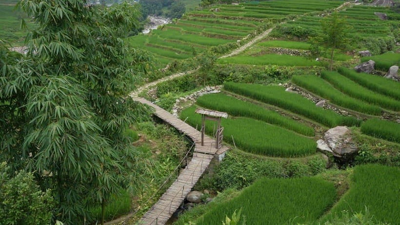 Easy Trek in Sapa mountain : Y Linh Ho - Lao Chai - Ta Van - Why this Sapa trek is worth considering