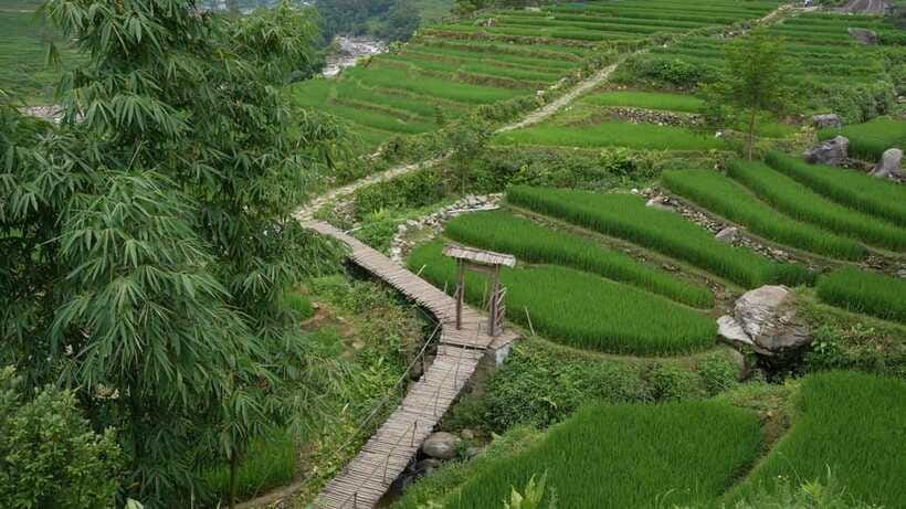 Easy Trek in Sapa mountain : Y Linh Ho - Lao Chai - Ta Van - Rice terraces and Hoang Lien Son views