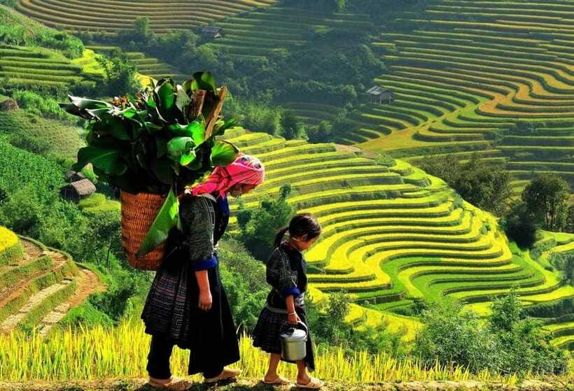 Easy Trek in Sapa mountain : Y Linh Ho - Lao Chai - Ta Van - Lao Chai and the Black Hmong community