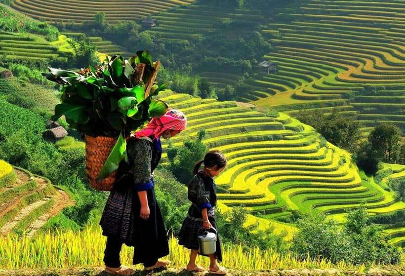 Easy Trek in Sapa mountain : Y Linh Ho - Lao Chai - Ta Van - From Hoang Van Thu to the mountain road