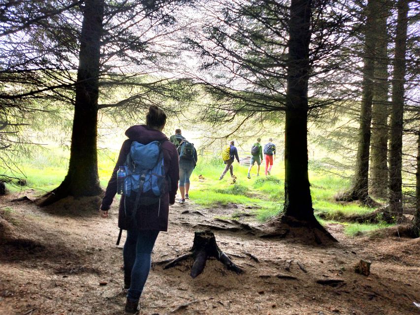Edinburgh: Hill & Nature Hike With a Local - How the Bus Connection Changes the Day