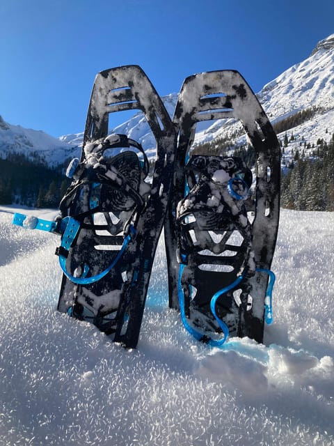 Ehrwald: Zugspitze Snowshoe Hiking Tour with Mountain Views - Key points at a glance