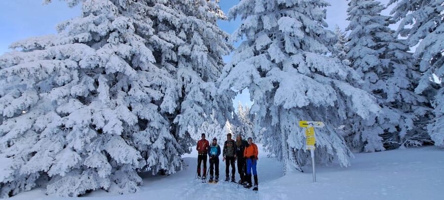 Ehrwald: Zugspitze Snowshoe Hiking Tour with Mountain Views - The two-hour route toward Zugspitze