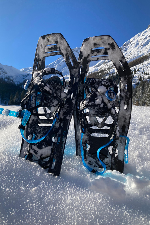 Ehrwald: Zugspitze Snowshoe Hiking Tour with Mountain Views - How the guide affects the experience