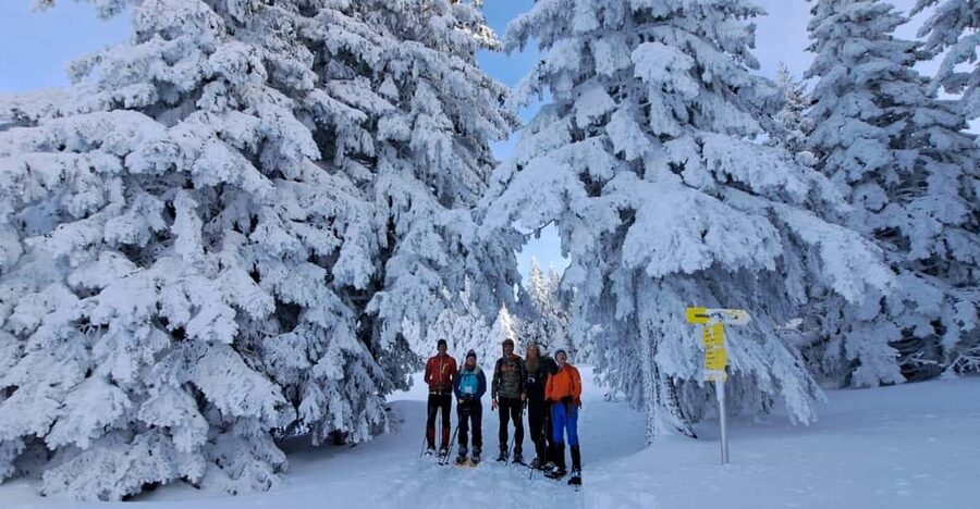Ehrwald: Zugspitze Snowshoe Hiking Tour with Mountain Views - Snowshoes, crampons, and changing conditions