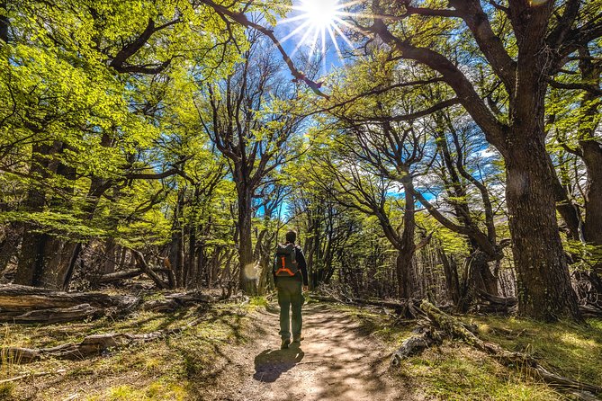 El Chaltén with Trekking from El Calafate - What this El Chaltén day trip really offers