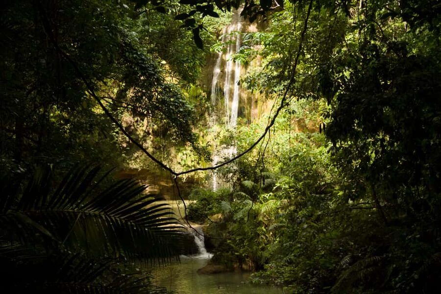 El Limón: Waterfall Hiking Tour with Lunch - The morning begins at a meeting point