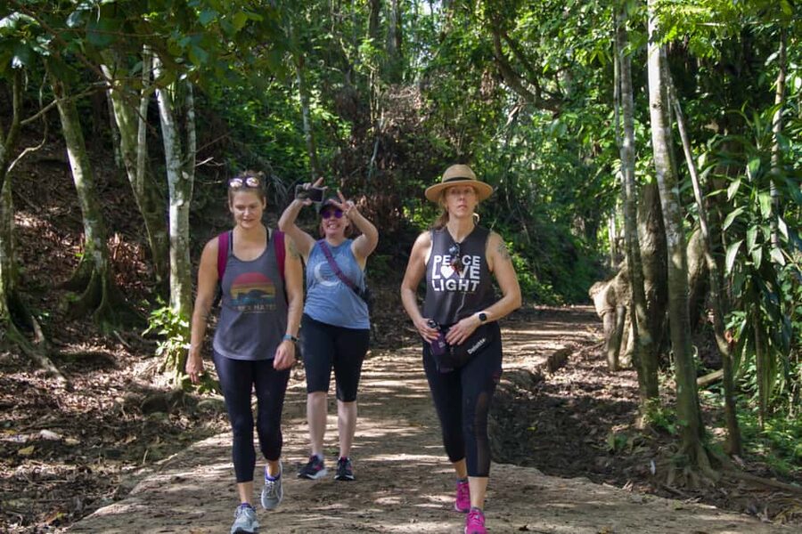 El Limón: Waterfall Hiking Tour with Lunch - Reaching the waterfall and swimming for 30 minutes