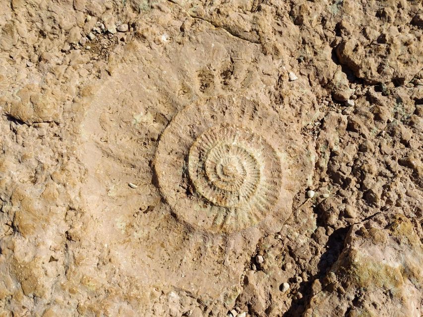 El Torcal de Antequera Hike with Transfer - Why El Torcal feels like another planet