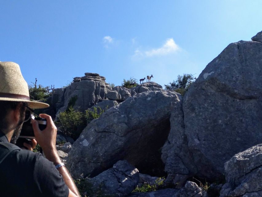 El Torcal de Antequera Hike with Transfer - Fossils, plants, and a close look at the rock