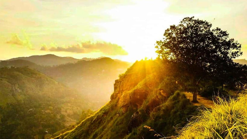 Ella: Sunset Tuk Tuk Tour with Little Adam's Peak Hike - Key points at a glance